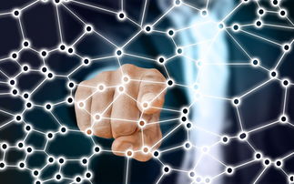 乐鱼电竞在线平台-大豆谈判背后的供应链战略，中方发声透露哪些信号？，大豆供求